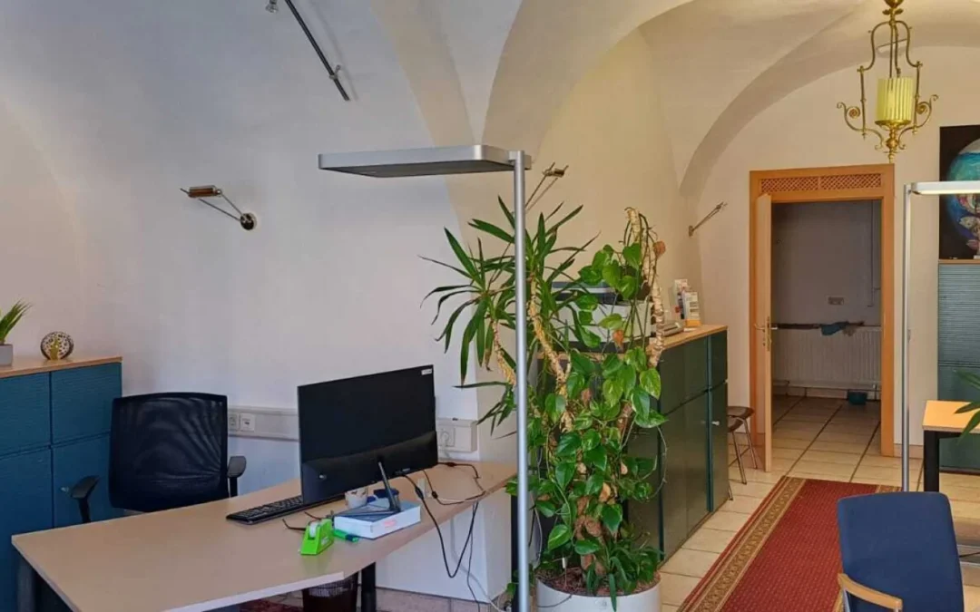 Büro- und Geschäftsfläche in zentraler Lage in Kindberg